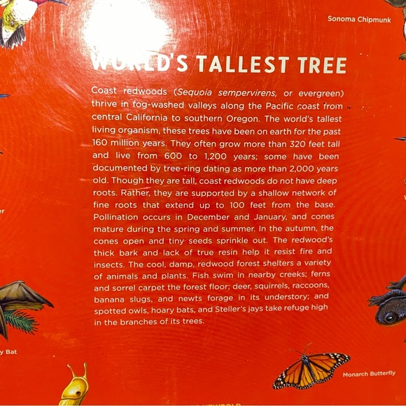 2004 Golden Gate National Parks Conservancy Tallest Tree 6 Foot Growth Chart - Picture 10 of 16